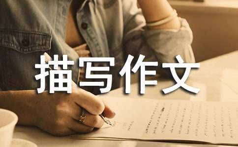 篮球训练计划一个月重早到晚_0